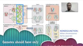 Biology 077 Cancer and Chromosomal Abnormalities [upl. by Nerrot731]