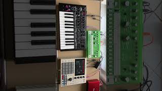 What is this genre akaimpc bassstation2 novation behringerrd6 bassstation2 electronicmusic [upl. by Notserc]