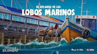 Microcuentos de Solidaridad – El aplauso de los lobos marinos [upl. by Leopold]