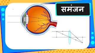 Physics – नेत्र Part 2 – How eye works Part II – Accommodation – Hindi [upl. by Anazraf757]