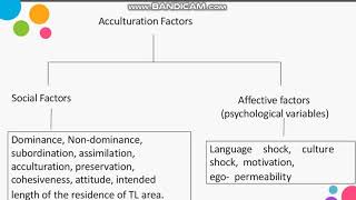 Acculturation Theory [upl. by Mallis]