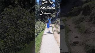 Kalatop Sanctuary Dalhousie shortsvideo shortsfeed shorts shortsviral dalhousie travel kids [upl. by Schargel]