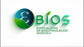 EPSILON BIOS ESPECIALISTAS EN BIOESTIMULACIÓN AGRÍCOLA Productos rentables para agricultores [upl. by Eelessej876]