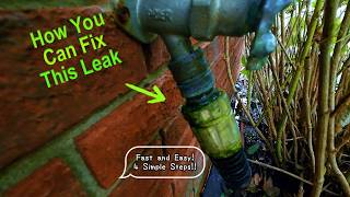 How To Fix A Leaking Outdoor Faucet Fix It Fast Easy No Need To Call A Plumber [upl. by Mcnamee]