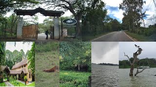 Road Trip from Bangalore to Kabini amp Stay Jungle Lodge Kabini River Lodge [upl. by Sophi]