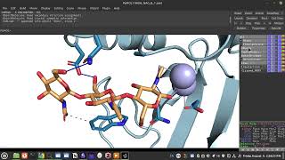 Protein Ligand Profiling using PLIP [upl. by Nehgam228]