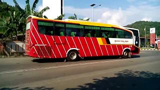 AKTIVITAS BUS GUMARANG JAYA  2  PADANG  SOLO  PATI [upl. by Debbee]