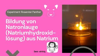 Bildung von Natronlauge Natriumhydroxidlösung aus Natrium Rosaroter Panther  mit Experiment [upl. by Yadsnil]