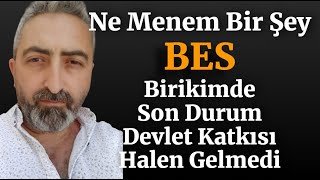 Ne Menem Bir Şey BES 2 Ay Birikimde Son Durum [upl. by Mlohsihc]