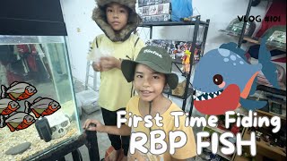 Fist time Fiding RBP FISH ‼️ fish fiding aquarium [upl. by Michella]