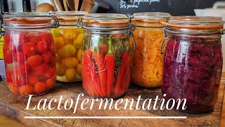 LÉGUMES LACTOFERMENTÉS DES CONSERVES TRÈS FACILES À FAIRE [upl. by Yecac]