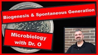 Biogenesis Versus Spontaneous Generation Microbiology [upl. by Nnairam313]