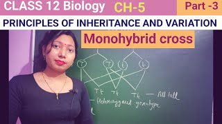 Monohybrid cross Class 12 biology CH 5NCERTNEETbiology neet [upl. by Reba563]