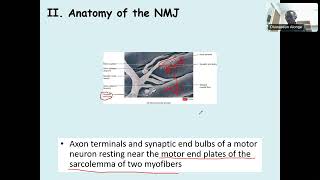 Chapter 9 Muscles amp Muscle Tissues Part 2 [upl. by Ecirehs601]