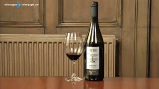 Romaldo Greco Versus Negroamaro 2014 wine review [upl. by Casilda847]