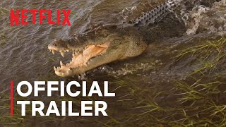 Wild Croc Territory  Official Trailer  Netflix [upl. by Kcid]