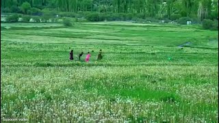 Susoom Karimabad Chitral Spring View 2024  Oxor Wathano Bosuni Shurugh [upl. by Tucky350]