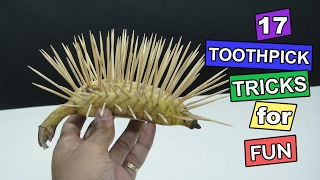 17 Easy Toothpick Tricks  How to use toothpick for fun [upl. by Christopher]