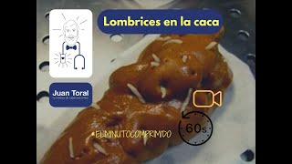 Lombrices en la caca  ⏱️💊 𝔼𝕝 𝕄𝕚𝕟𝕦𝕥𝕠 ℂ𝕠𝕞𝕡𝕣𝕚𝕞𝕚𝕕𝕠 17 ⏱️💊 [upl. by Bigg]