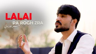 Pashto New Songs 2024 Lalai Pa Rogh Zra Marawar De  Nosherwan Ashna  Official Music Video [upl. by Marcellina]