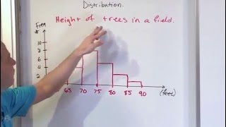 Lesson 8  What is a Histogram in Statistics [upl. by Botzow]