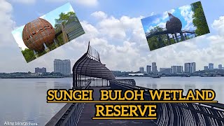 Sungei buloh wetland reverve Alinglakwatchera [upl. by Chari25]