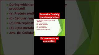 During Which Process Is ATP Primarily Produced  cellularrespiration atp [upl. by Priscilla319]