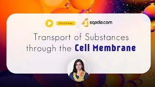 Transport of Substances through the Cell Membrane  Physiology Online  VLearning™ [upl. by Ikoek]