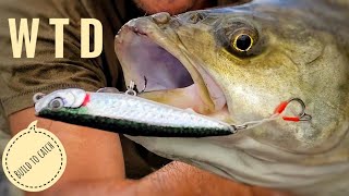 Lure Making WTD Lure  Part 2  Build to Catch [upl. by Telford]