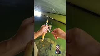 Fishing under bridge Amazing fishing fislove fish fishng bassfishing bigfish fishinglife [upl. by Reffineg]