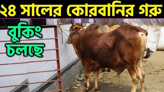 ২৪ সালের কোরবানির গরু বুকিং  ShakibAgrovet [upl. by Elisee]