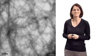 Christine JacobsWagner Yale HHMI 1 The role of spatial organization in bacterial cell function [upl. by Nnair]