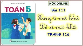 Toán 5 bài 111 xăng ti mét khối đề xi mét khối [upl. by Dlnaod]