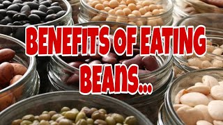 BEANS FOR YOUR DAILY DIETS AND BENEFITS  HEALTHY TIPS [upl. by Kwan59]