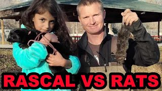 Rascal the Minks First Pest Control Hunt at the Park [upl. by Novick]