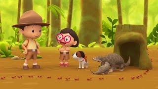 Malayan Pangolin  Leo The Wildlife Ranger Minisode 104 [upl. by Taggart274]