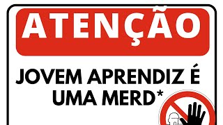 JOVEM APRENDIZ VALE A PENAEXPERIÊNCIA PROPIA [upl. by Lonnie]