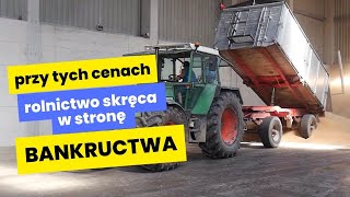 Przy tych cenach zbóż rolnictwo skręca w stronę bankructwa Żniwa 2024 [upl. by Dahsra]