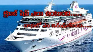 cruise journey chennai to pondicherry cruise trip pondicherry ship journey [upl. by Dail]