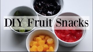 DIY Homemade Natural Fruit Snacks  Gummies  4 Recipes ♡ NaturallyThriftyMom [upl. by Meta]