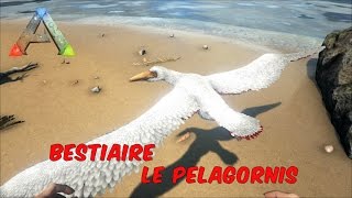 Ark Survival Evolved  FR  Bestiaire  Le Pelagornis [upl. by Ynnad819]