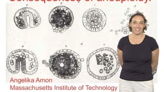 Angelika Amon MIT and HHMI Part 1 Review of the Study of Aneuploidy [upl. by Idet]