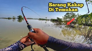 Sampe Kehabisan Udang Panen Kakap Putih Dan Kakap Bakau Di Tambak Jebol [upl. by Vladimir]