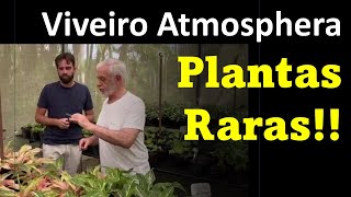 PLANTAS RARAS  VENHA CONHECER [upl. by Aiela]