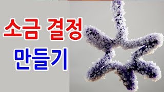 과학실험결정용해도 소금결정 만들기Salt crystals건빵박사1분실험 [upl. by Sutsugua75]