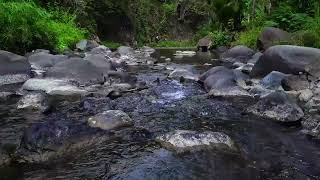 Water with a gurgling sound that calms the mind  Relaxing and calming river gurgling sound [upl. by Donaugh216]