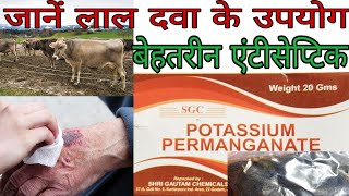 Potassium Permanganate Uses in Hindi  लाल दवा के उपयोग [upl. by Annoit]