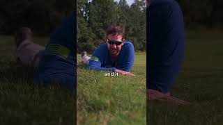 Tall Fescue vs Bermuda [upl. by Okier]