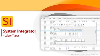 System Integrator  Labor Types [upl. by Shaver]