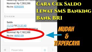 Cara Cek Saldo Lewat SMS Banking BRI [upl. by Hairahcez528]